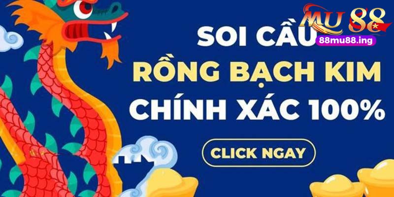 Những thông tin quan trọng khi soi cầu rồng bạch kim cần biết