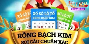 soi cầu rồng bạch kim