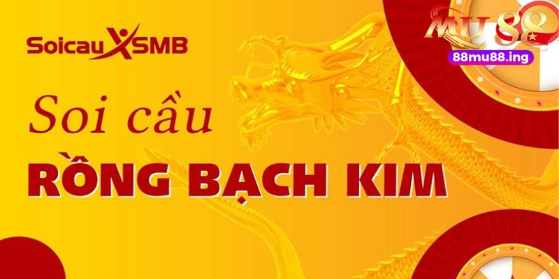 Tổng quan về website xổ số rồng bạch kim